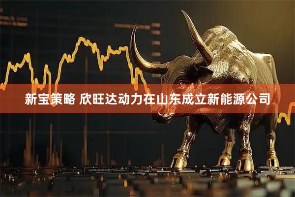 新宝策略 欣旺达动力在山东成立新能源公司