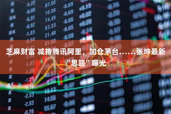 芝麻财富 减持腾讯阿里，加仓茅台……张坤最新“思路”曝光